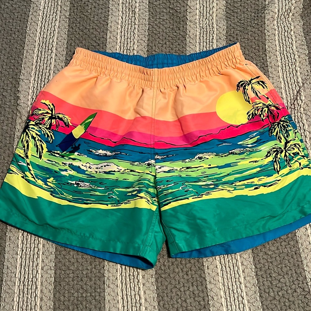 Chubbies Large Shorts